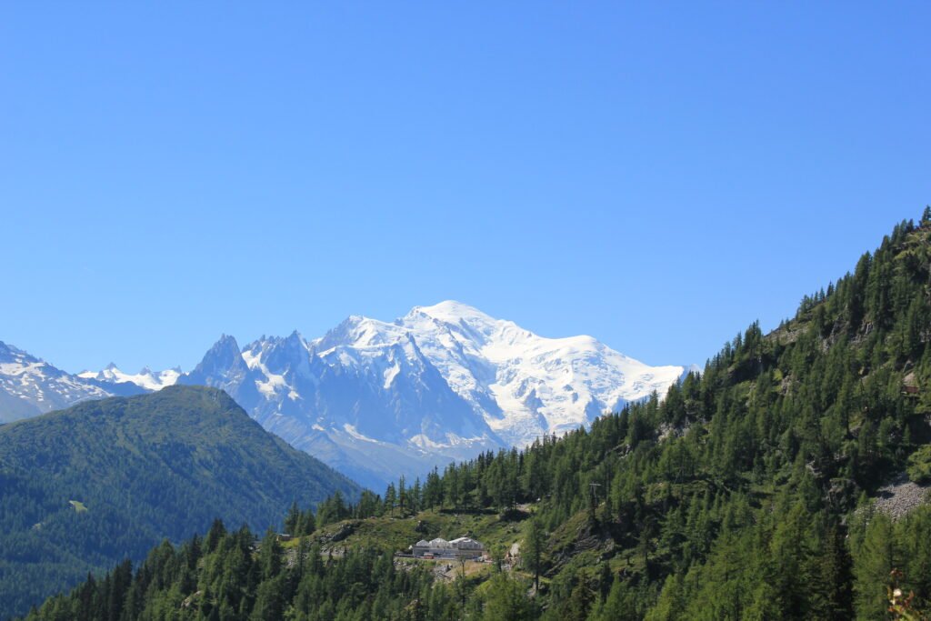 IMG 0231 1024x683